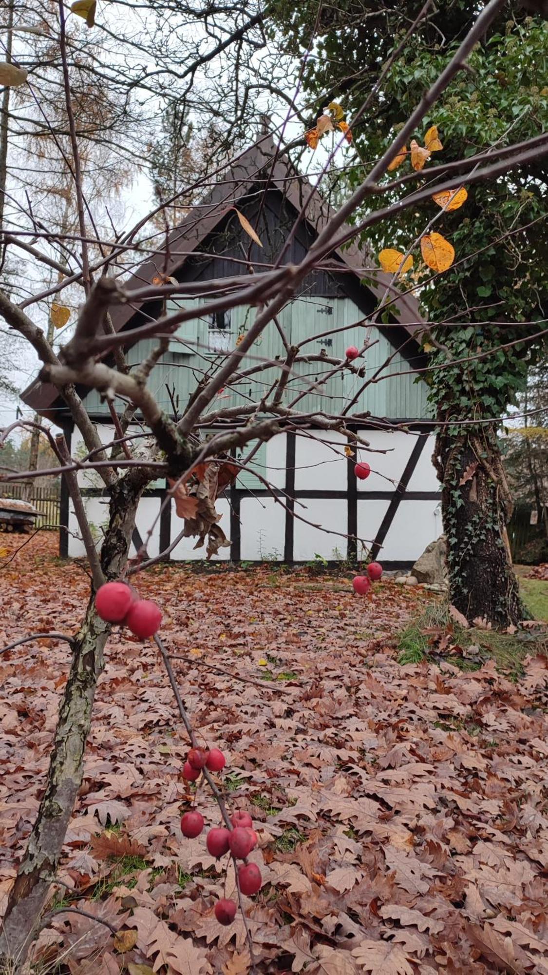 Malanka - Kaszubska Checz Villa Strzepcz Dış mekan fotoğraf